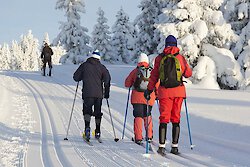 Langlaufen am Arber Bayerwald